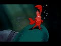 under the sea