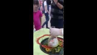 Опыты Волшебный Сверчок Одесса