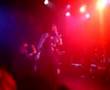 Bloodline - Brown Pants Jazz