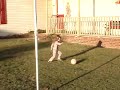 Toddler Faith