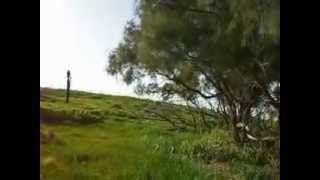 بركوسيا   شاكر احمد مصلح