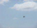 F-22 Raptor loop
