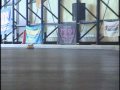 Tomioka RC Shop 1 Year Anniversary Race