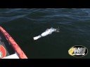 Bass Edge -  Monster Paddlefish!!!! Season 1 - Show 5