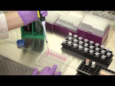 how to isolate prokaryotic mrna