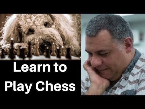 chess rules