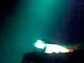 alejandro fernandez 04 feb