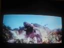 Lord Godzilla March with Raymond Burr Lord Godzilla March with Raymond Burr