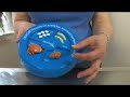 Cat Health & Medical Problems : Cat Health: Flea & Tick Life Cycle Cat Health & Medical Problems : Cat Health: Flea & Tick Life Cycle