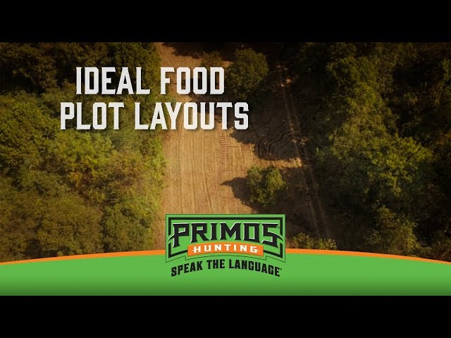 How to Layout Your Food Plots for Deer Hunting