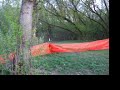 Minooka Seasonal Pond Frogs