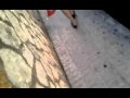 Qik - Mobile video by Toni Lähdekorpi