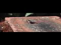 Panasonic HDC-SD5 Macro test