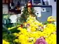 videos de Sri Mahavatar Babaji Idol