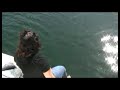 Smuggler Cove BC Canada