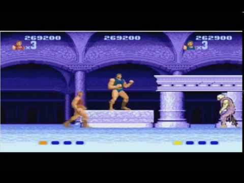 動画