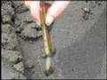マテ貝獲り2008 Gould's Jackknife clam hunting2008