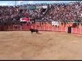 Sabugal Alfaiates 2008 Festival forcão-Pitchfork bullfight