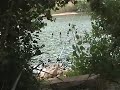 les cannes au salag