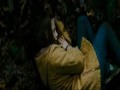 the twilight saga NEW MOON - Kelly Clarkson - Behind Theze Hazel Eyes
