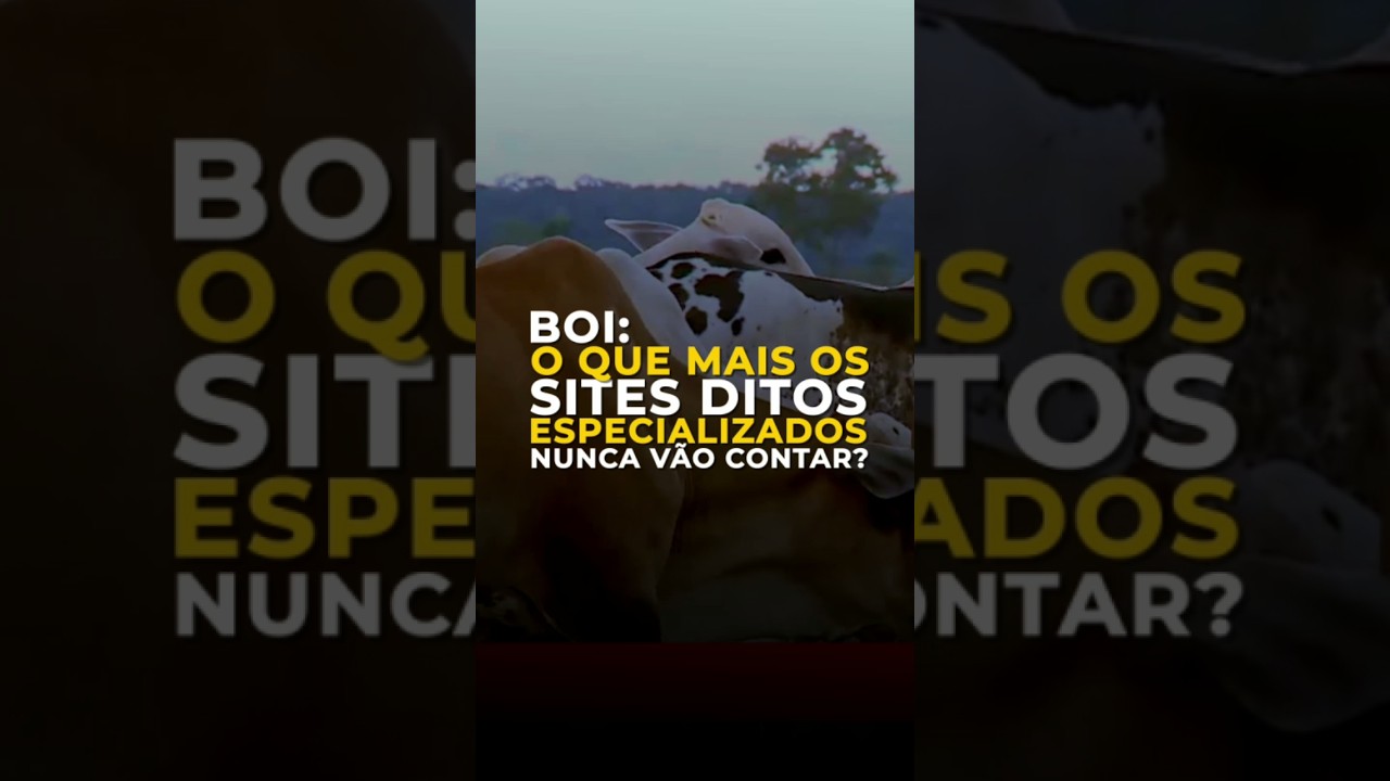 BOI: O QUE MAIS OS SITES DITOS ESPECIALIZADOS NUNCA VÃO CONTAR?