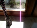 Knacken am Fenster 1