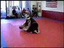 Elite JIu Jitsu December Belt Test