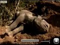 Long Way Down - Ewan & Charley - Baby Rhino Long Way Down - Ewan & Charley - Baby Rhino