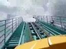 Kumba at Busch Gardens