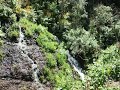 Naciente de Cordero , La Palma Naciente de Cordero , La Palma