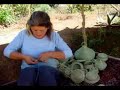 Trabajo realizado por www.venaventours.com sobre el proceso de elaboracion de Cestas en Cola de Mula, por la artesana Fanny Hernandez en Bocono estado Trujillo