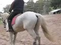 Second riding lesson with Wendy Schaeffer Second riding lesson with Wendy Schaeffer