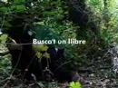 Sal�n Libro Barcelona 2006: survive
