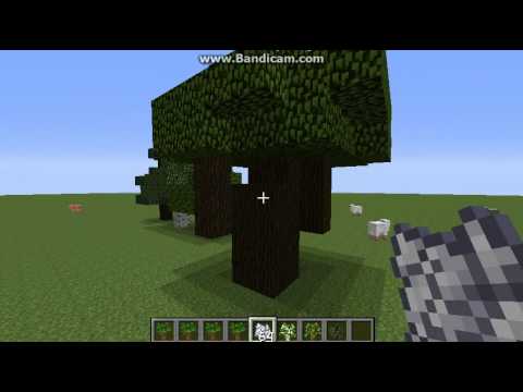 how to grow dark oak saplings