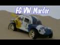 FG Marder Beetle at the dunes