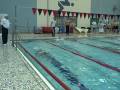 EHS 100 Butterfly