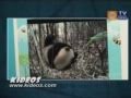 TEC America TV - Los Secretos de la Web (19/09/2010 #4)