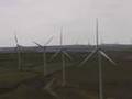 Puget Sound Energy's Wind Power