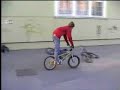 Gy?ri bmx