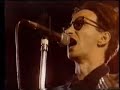 immaculate fools-tragic comedy (live)