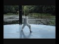 Chen Style TaiChi 24 form