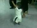 videos de baby eniel