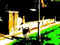 NGB Cranleigh Parkour (Sheps Edit)
