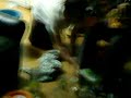 MOV00046