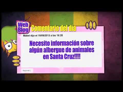 Imagen de previsualización de YouTube