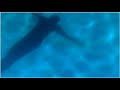 Chanel Cruise 2008 Miami Teaser Chanel Cruise 2008 Miami Teaser