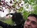 the slipknot killer