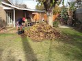 Raking Up the Back Yard