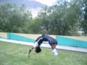 asoc  dejando huellas  huanuco peru