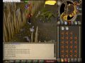 Runescape Dragon Slayer Quest